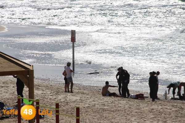 gareg 107 3ajami (10).JPG